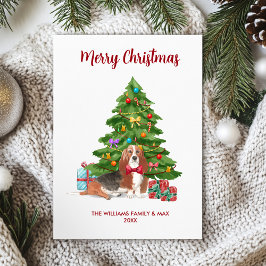 Perrro Basset Hound Navidad