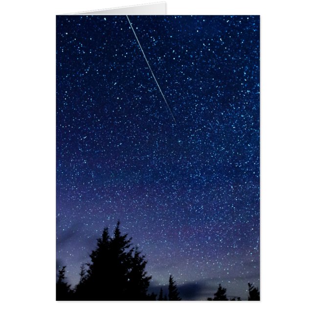 Perseid Meteor Shower (Frente)