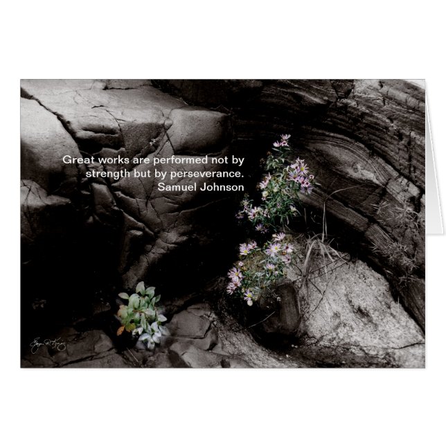 Perserverance Card, Wild Aster en Pemigewasset (Anverso (Horizontal))