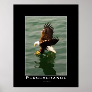PERSEVERANCIA Poster de Arte Motivador de Águila C