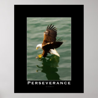 PERSEVERANCIA Poster de Arte Motivador de Águila C