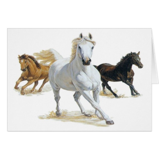 Persiga el viento (Anverso (Horizontal))