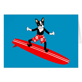 Persona que practica surf de Boston Terrier