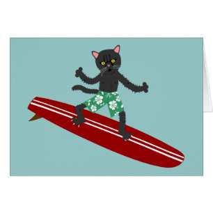 Persona que practica surf de Longboard del gato