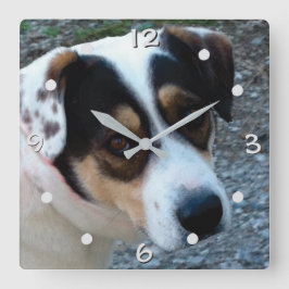 personaliza con tu propio reloj de pared de mascot