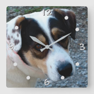 personaliza con tu propio reloj de pared de mascot