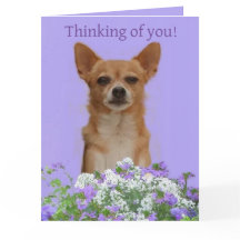 Personaliza la tarjeta Doggie big "Thinking of you