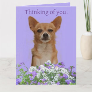 Personaliza tarjeta grande para perro "Pensando en