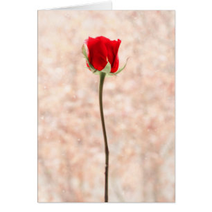 Personalizable Beautiful Red Rose