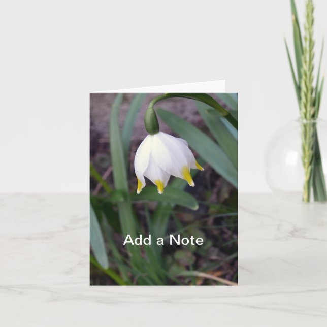 Personalizable de vernum de Leucojum Snowflake de  (Anverso)