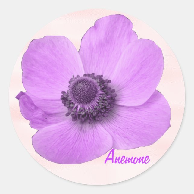 Personalizable Girly Pink Anemone Pegatina (Anverso)