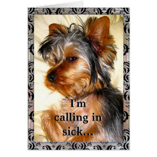 Personalizable locamente enamorado de Yorkie