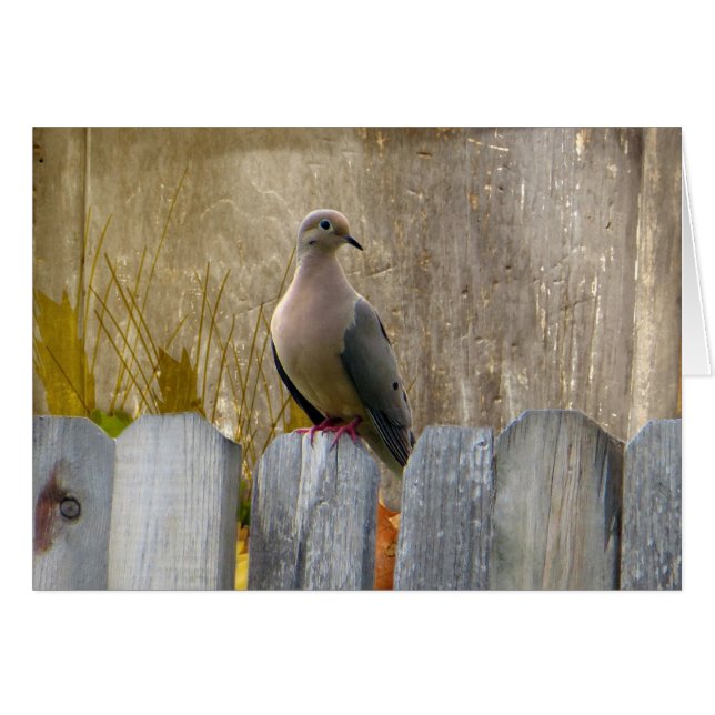 Personalizable Love Dove (Anverso (Horizontal))