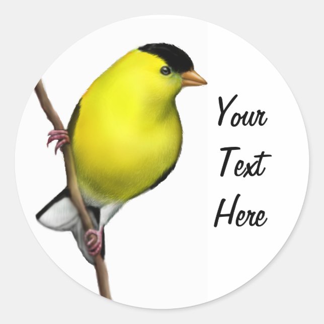 Personalizable Male American Goldfinch Pegatina (Anverso)