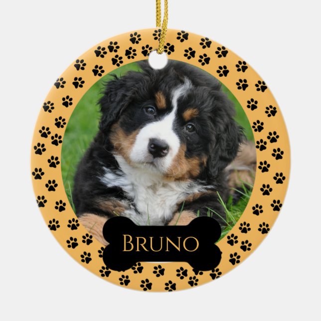 Personalizable naranja Mascota Ornamento de Círcul (Frente)