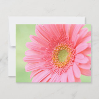 Personalizable Rosa Gerber Daisy