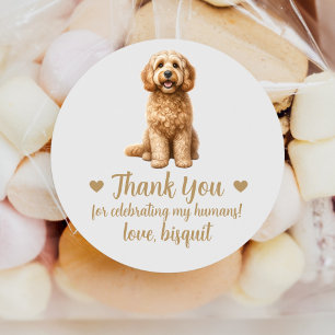 Personalizado Cockapoo Boda de perro Pegatinas a f