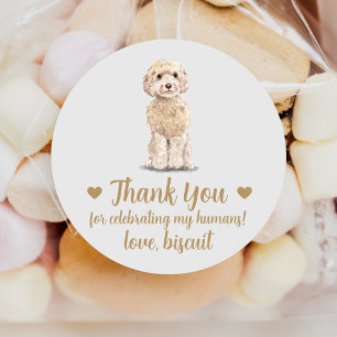 Personalizado Cockapoo Boda de perro Pegatinas a f