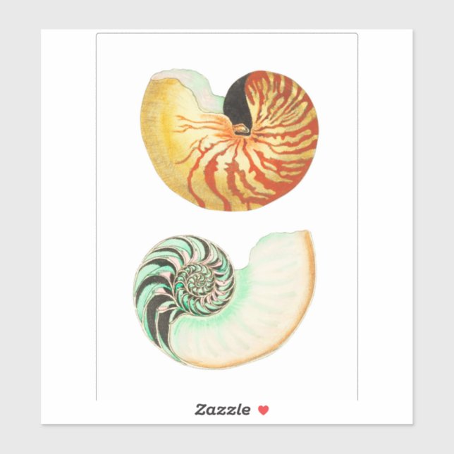 PERSONALIZADO CUT VINYL PEGATINA : NAUTILUS (Hoja)