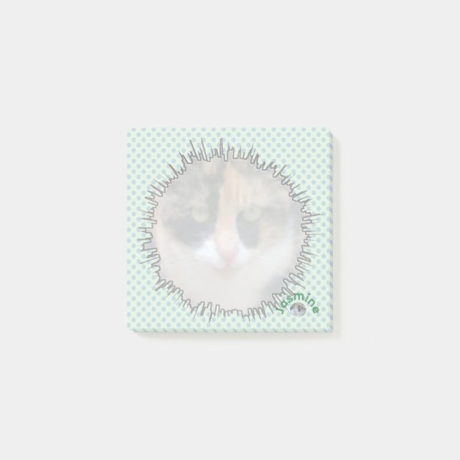 Personalizado de estilo cómico Notas fotográficas (Anverso)