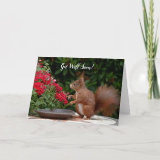 Personalizado De La Ardilla Cute La Tarjeta De Sal