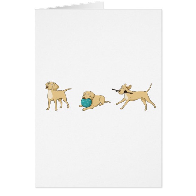 personalizado de laboratorio amarillo 2 (Frente)