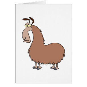 personalizado de llama tonta