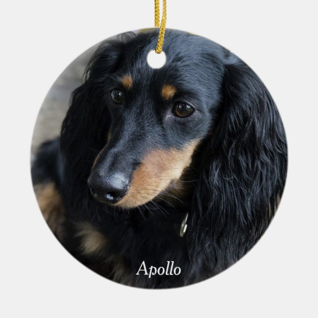 Personalizado de Ornamentos de Navidad de Dachshun (Frente)