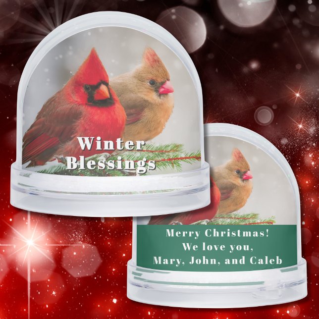 Personalizado de saludos de invierno del Cardenal  (Two northern cardinals snuggle on a cold winter's day in this beautiful snow globe gift for anyone.)
