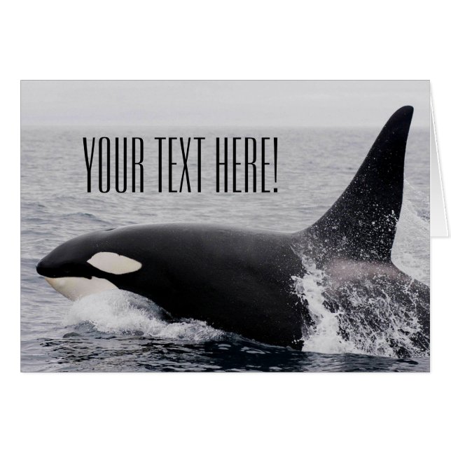 Personalizado de superficie de fractura de ballena (Anverso (Horizontal))