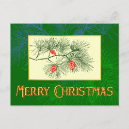 Personalizado Feliz Navidad Green Pine Postcard