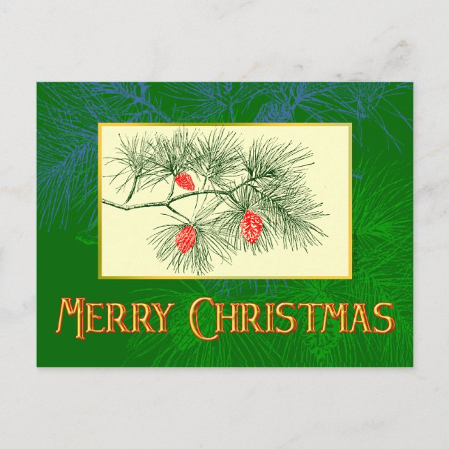 Personalizado Feliz Navidad Green Pine Postcard (Anverso)