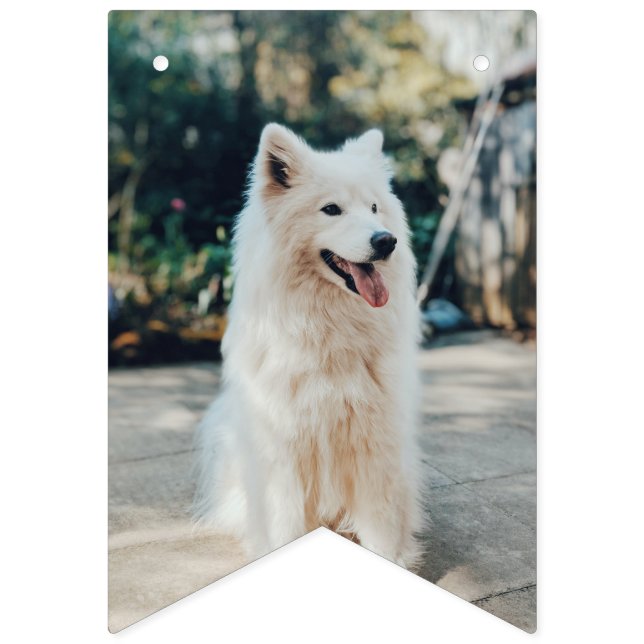 Personalizado foto bunting banderas de cumpleaños  (Quinta bandera)