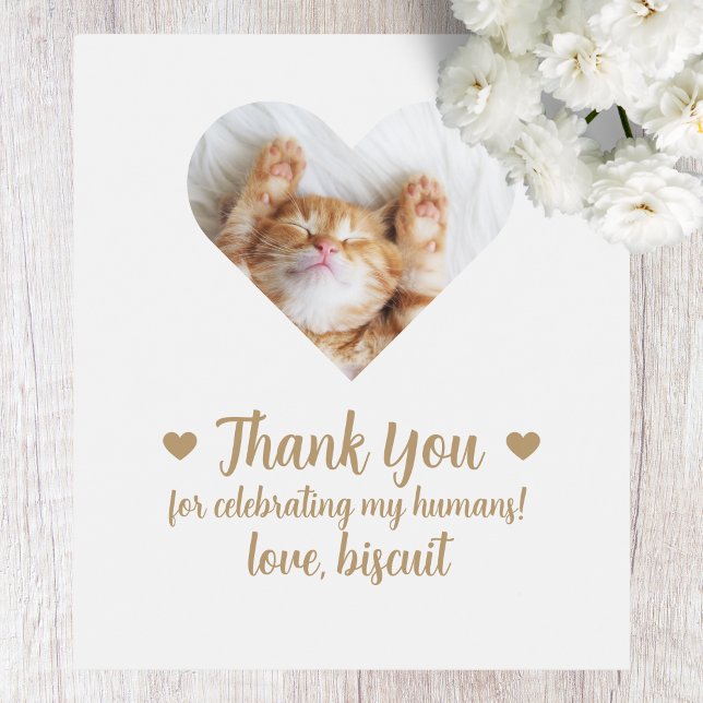 Personalizado Foto Gato Yo También Boda Etiqueta D (Subido por el creador)