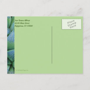 Personalizado Gracias Postales Verdes De Plantas S