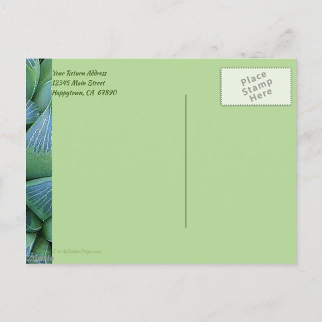 Personalizado Gracias Postales Verdes De Plantas S (Reverso)