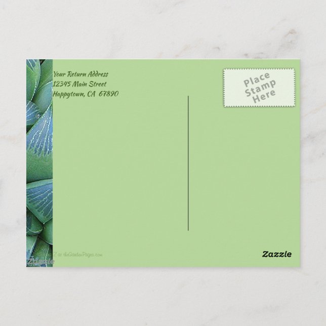 Personalizado Gracias Postales Verdes De Plantas S (Reverso)