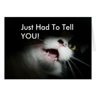 Personalizado grosero y refranes del gato