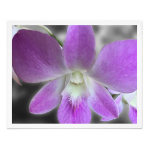 Personalizado impreso 16 x 20 Foto Ampliación