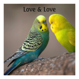 Personalizado Loro Imagen de amor Texto de la foto
