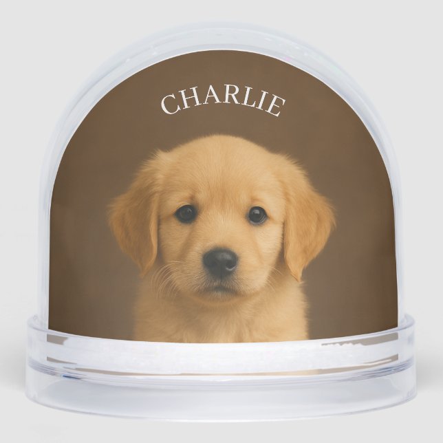 Personalizado mascota foto Nieve Globe (Anverso)