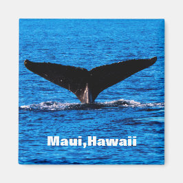 Personalizado Maui Humpback Imán de cola de ballen