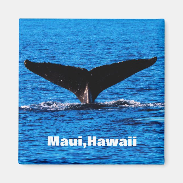 Personalizado Maui Humpback Imán de cola de ballen (Frente)