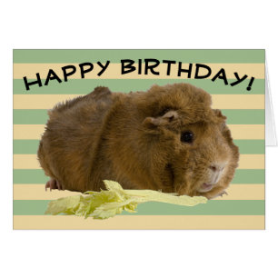 Personalizado Pastel Stripes Adorable Guinea Pig P