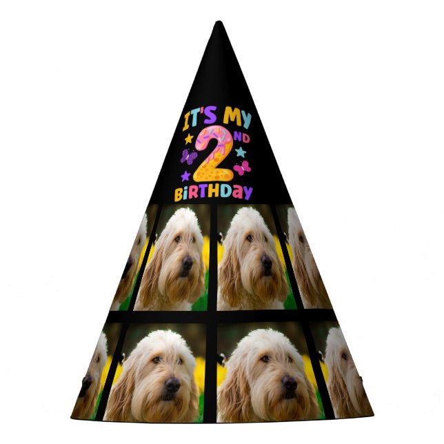 Personalizado Perro Foto fiesta Gorra Fiesta de 2º (Anverso)