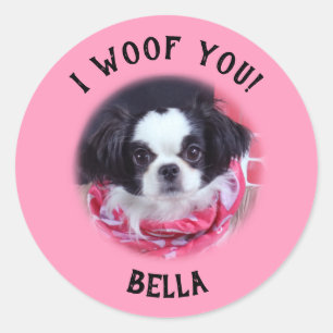 Personalizado Perro Foto Que Te Golpeo Pegatinas