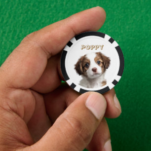 Personalizado Perro Foto y apodos Chips de póquer