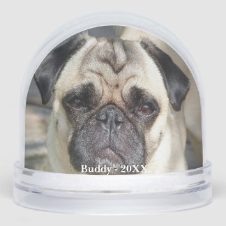Personalizado Pug Dog Photo