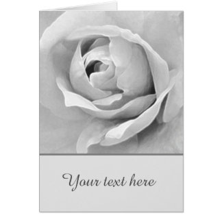 Personalizado sensorial Rosa Blanca