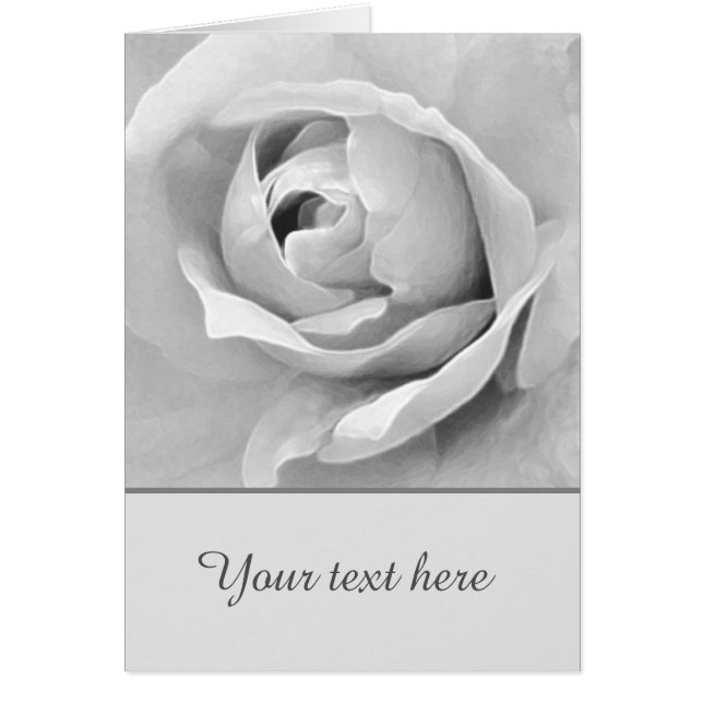 Personalizado sensorial Rosa Blanca (Frente)